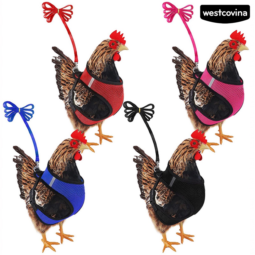 [COD]♞1 Bộ Dây Đai Dắt Gà / Vịt Thoáng Khí Tùy Chỉnh Tiện Dụng Cho Sân Vườn