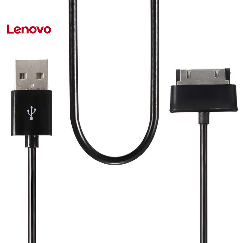 Dây Cáp Sạc &amp; Truyền Dữ Liệu USB 30Pin Hình Hoa Hướng Dương Cho Samsung Tab P1000 / P7310 / P7