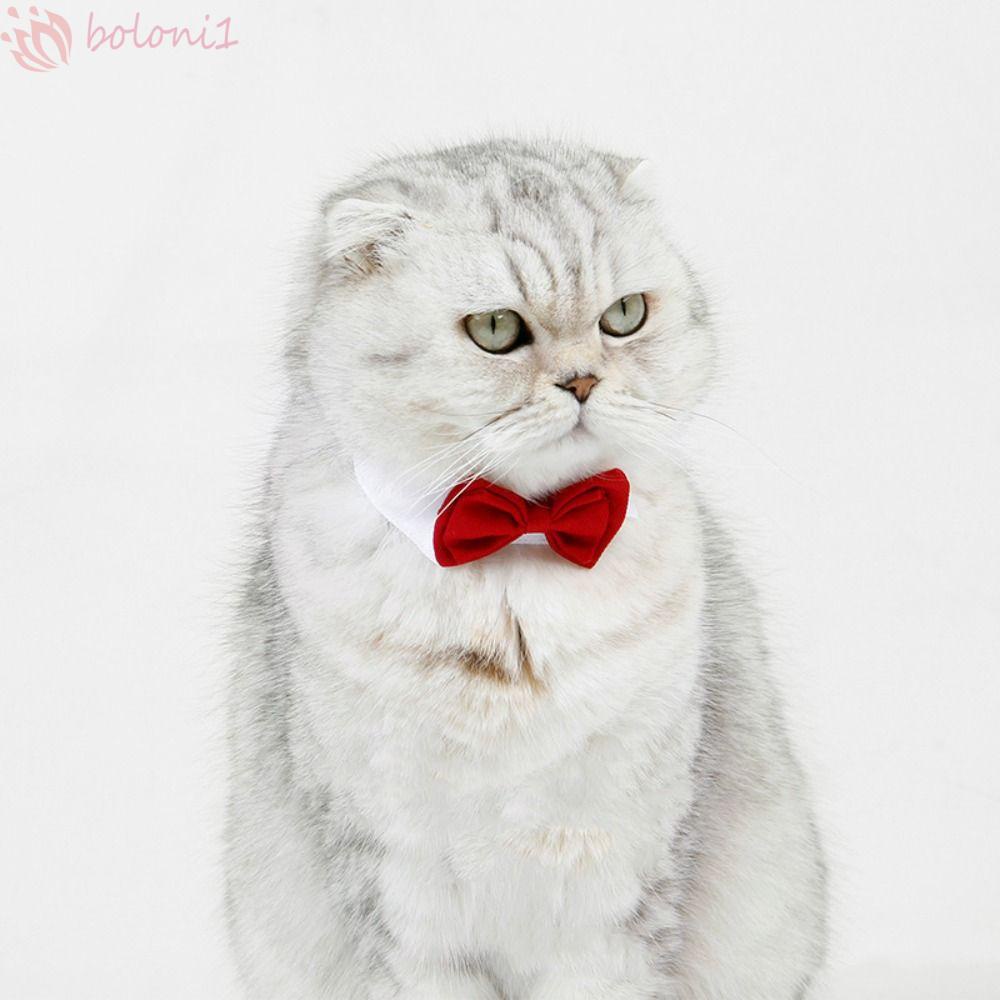 [COD] Vòng Cổ Thời Trang Cho Thú Cưng