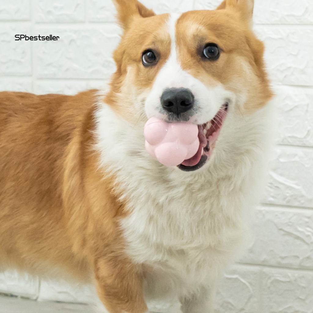 Bóng Cao Su Đồ Chơi Trong Nhà Chống Cắn Siêu Bền Độc Đáo Cho Thú Cưng