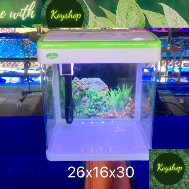 Bộ bể cá văn phòng MJ 260, bể đúc mini phù hợp trang trí trong nhà, bàn làm việc- Giao nhanh 2h.