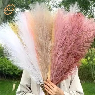 Pampas nhân tạo hoa cỏ / mô phỏng sậy ảnh nền trang trí / trang trí nhà tiệc cưới tự làm