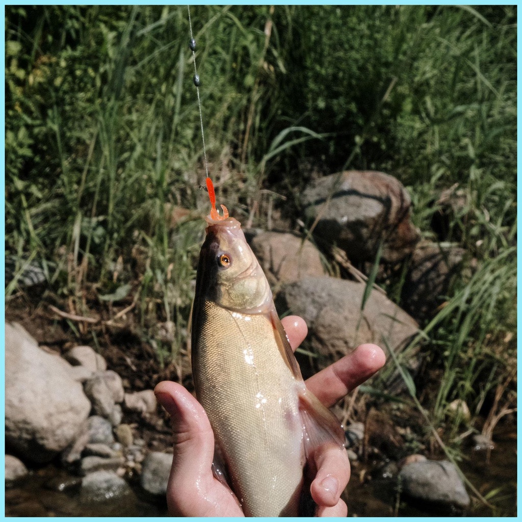 Set 50 Mồi Giun Giả Mềm 5cm 6 Cm 7cm Thu Hút Câu Cá Hiệu Quả