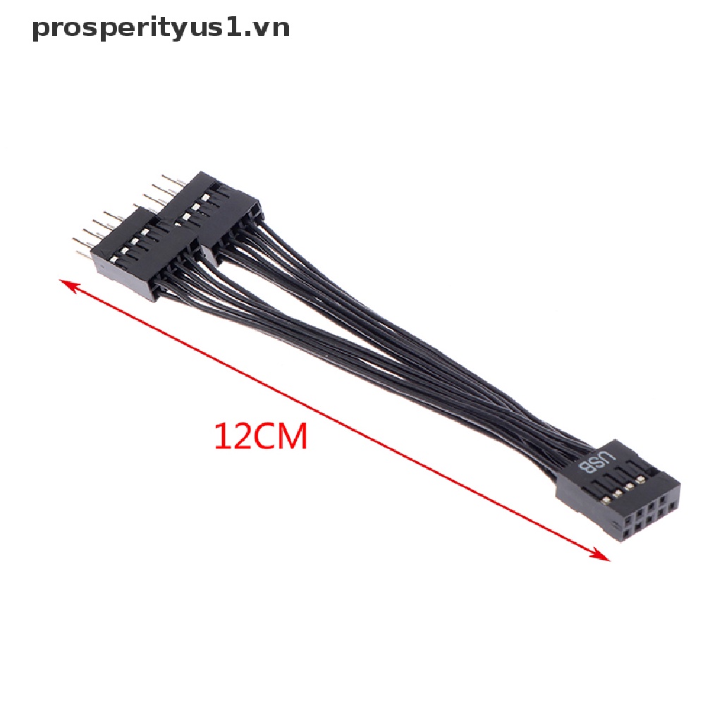 1 Cáp Nối Dài Bo Mạch Chủ Máy Tính 9 Pin 1 Female Sang 2 Male Y