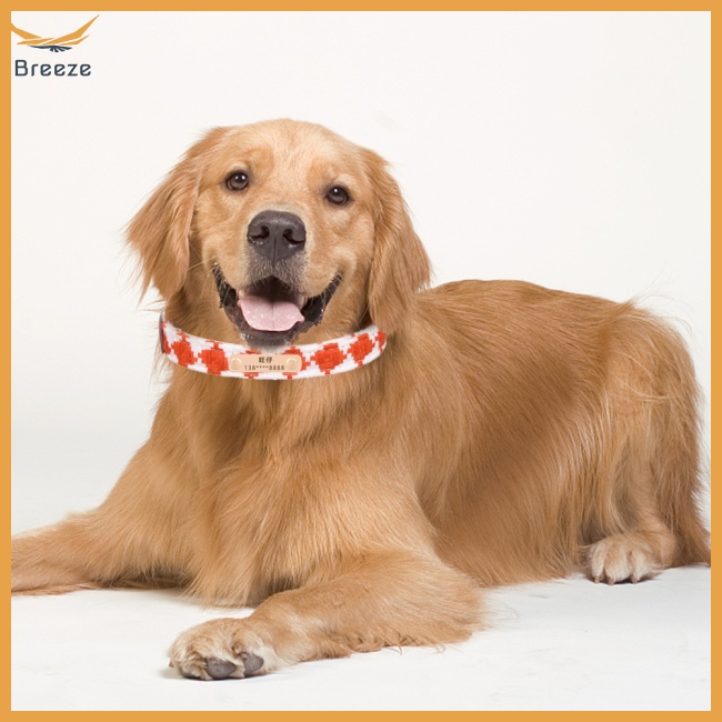 Thẻ Id Đeo Cổ Chống Thất Lạc Có Thể Điều Chỉnh Dành Cho Thú Cưng