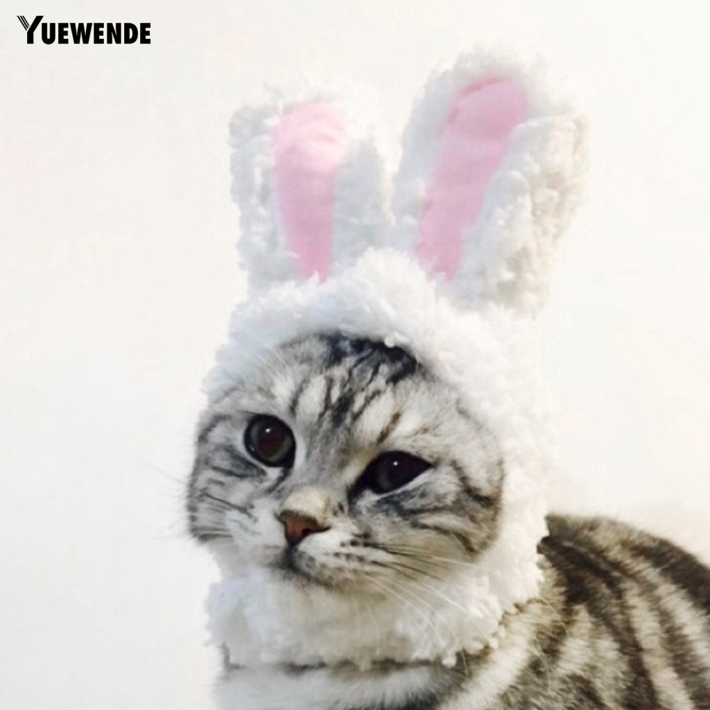 Băng Đô Đội Đầu Bằng Vải Cotton Pha Mềm Mại Ấm Áp Dành Cho Thú Cưng