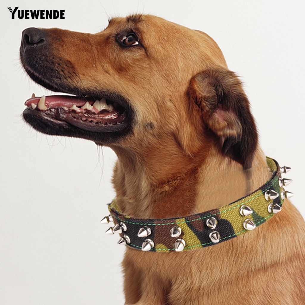 Vòng Cổ Vải Canvas Họa Tiết Rằn Ri Chống Cắn Có Thể Tái Sử Dụng Cho Thú Cưng