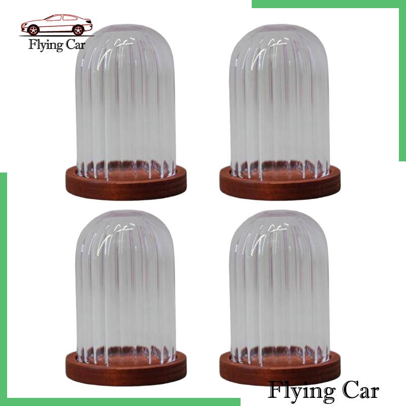 [Lzdjfmy2] Lọ Thủy Tinh Hình Mái Vòm Nhỏ Trong Suốt DIY Trang Trí Phong Cảnh