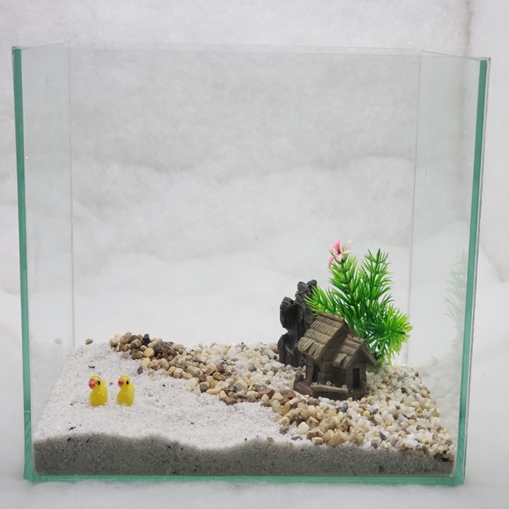 Sỏi trắng, Sỏi Vàng , rải mặt Trang Trí Sen Đá, Sân Vườn/ Chậu Cây, DYI, Terrarium