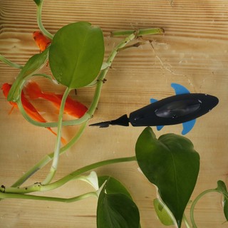 Mini RC Submarine 4 CH Remote Small Sharks Remote Control Toy With USB