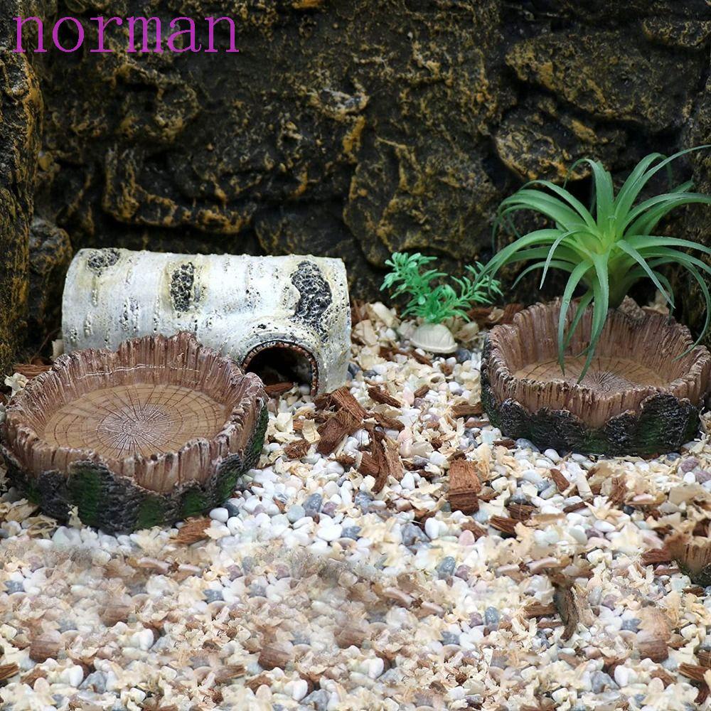 Khay Đựng Thức Ăn Cho Bò Sát Tiện Lợi