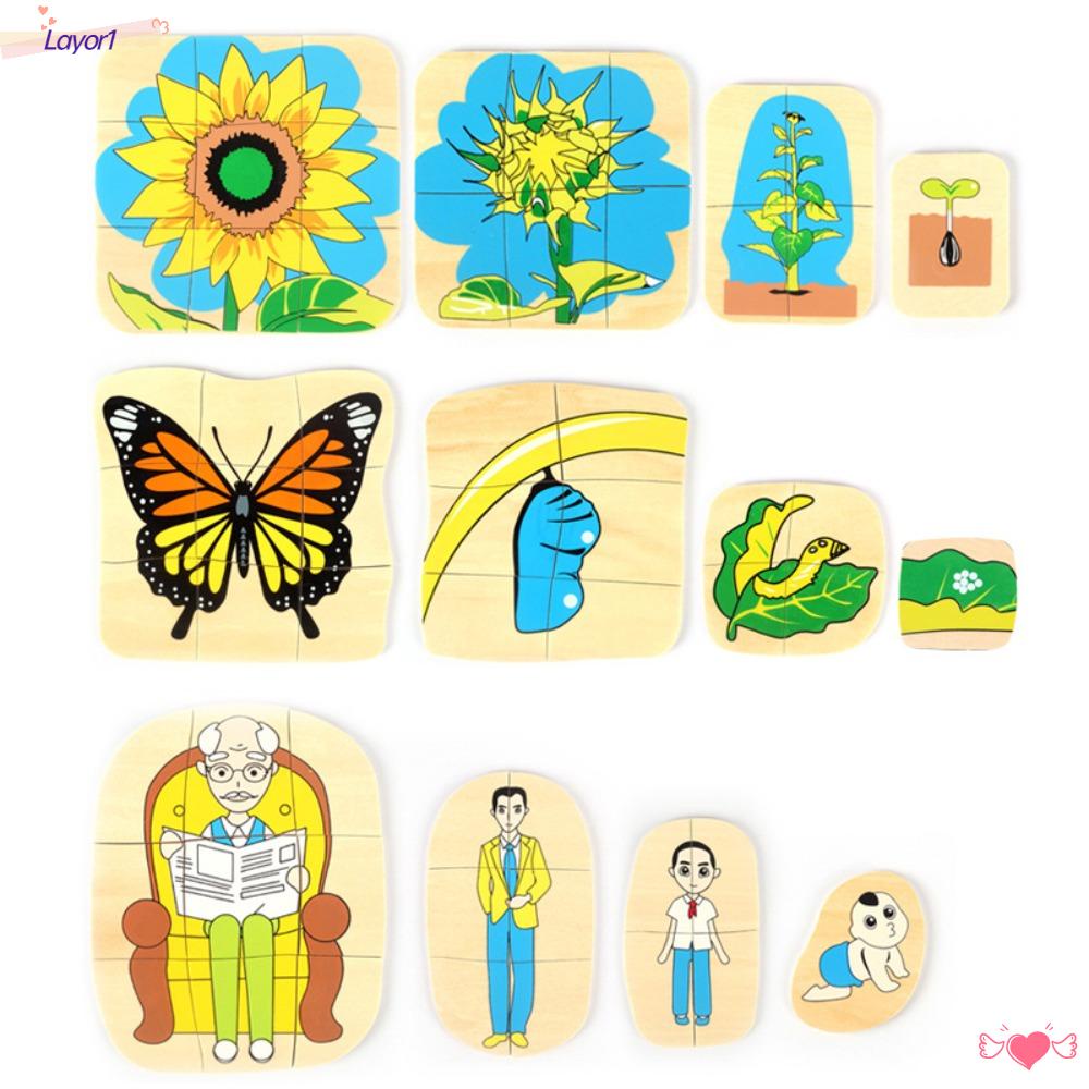 1 Bộ Xếp Hình 3d Bằng Gỗ Cho Bé Mẫu Giáo