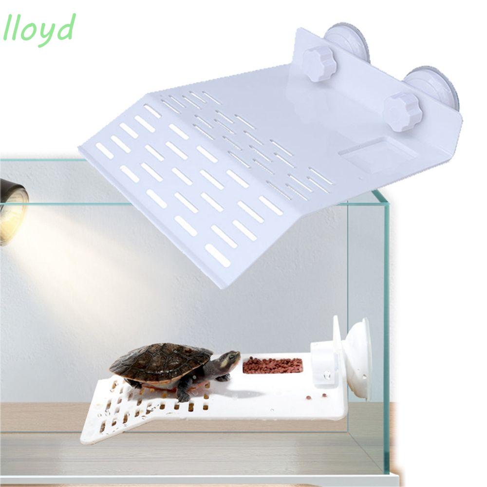 Bệ Đỡ Cho Rùa Ăn Bằng Acrylic Chịu Nhiệt Độ Cao