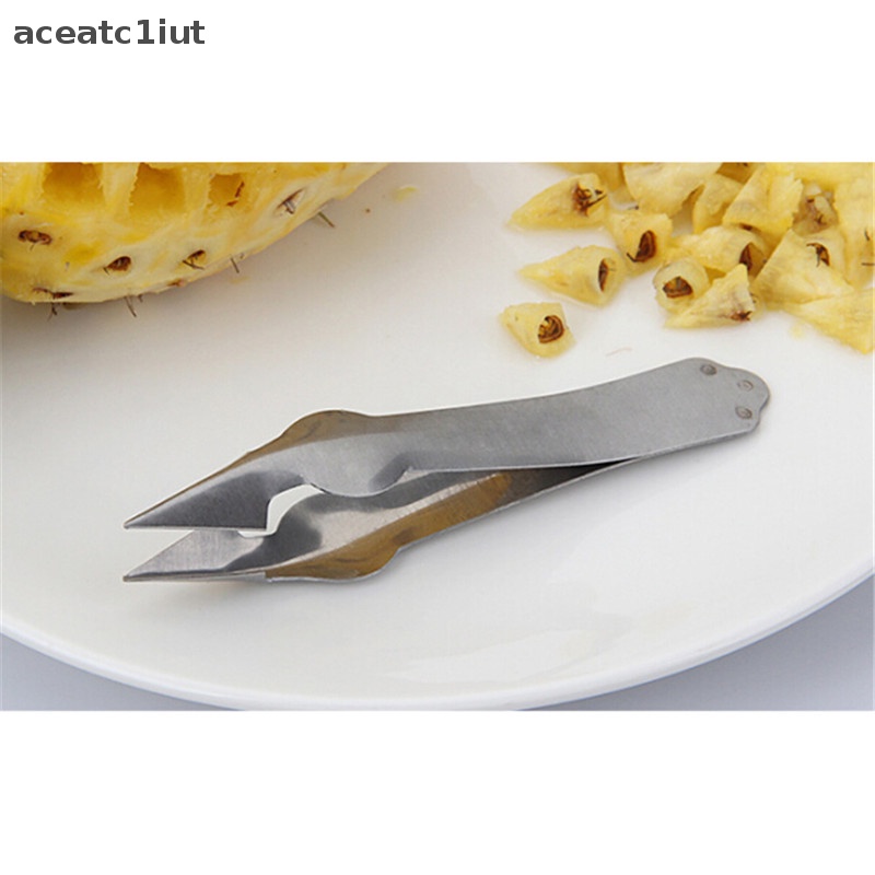 Hạt giống Salad công cụ trái cây Clip Cutter thép không gỉ corer Slicer dứa Peeler mới