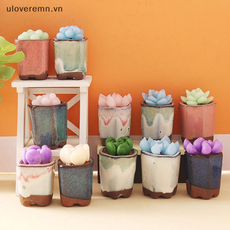 Mô Hình Chậu Cây Mọng Nước Trang Trí Nhà Búp Bê Tỉ Lệ 1: 6