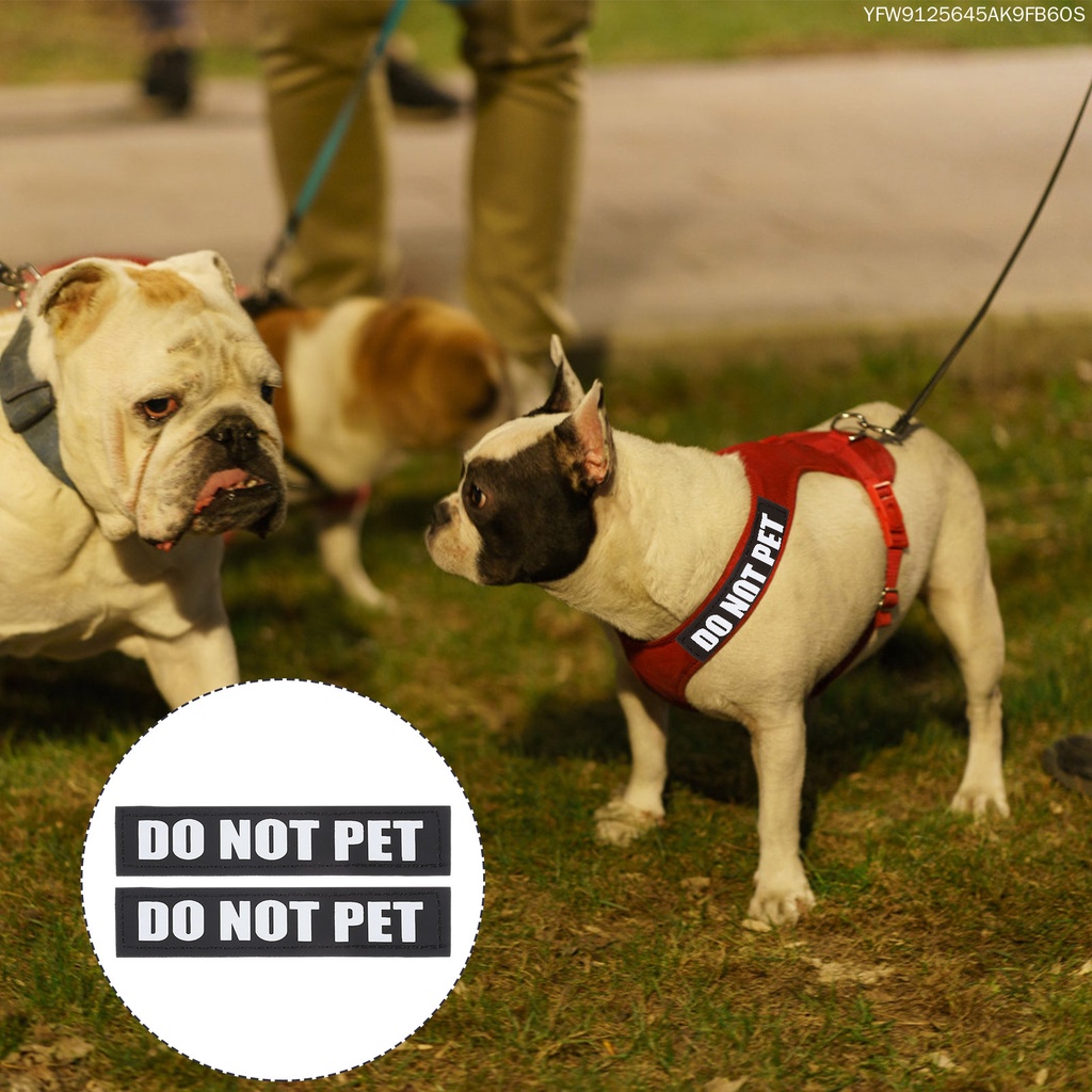 Set 2 Cặp Nhãn Dán Phản Quang Tháo Rời Được Dành Cho Thú Cưng