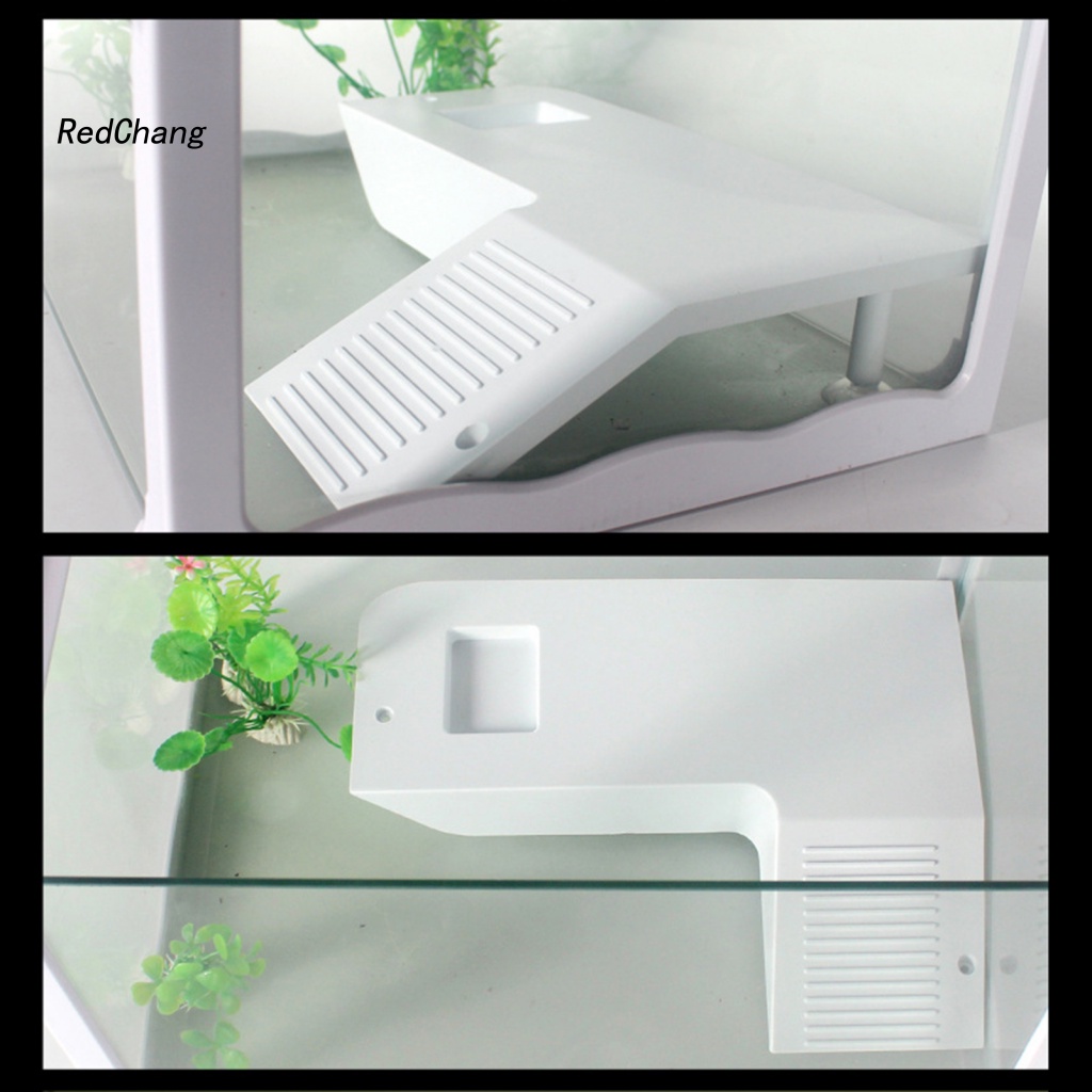 Rc ~ Bệ Đứng Ăn Dặm Có Giác Hút Cho Rùa / Bò Sát