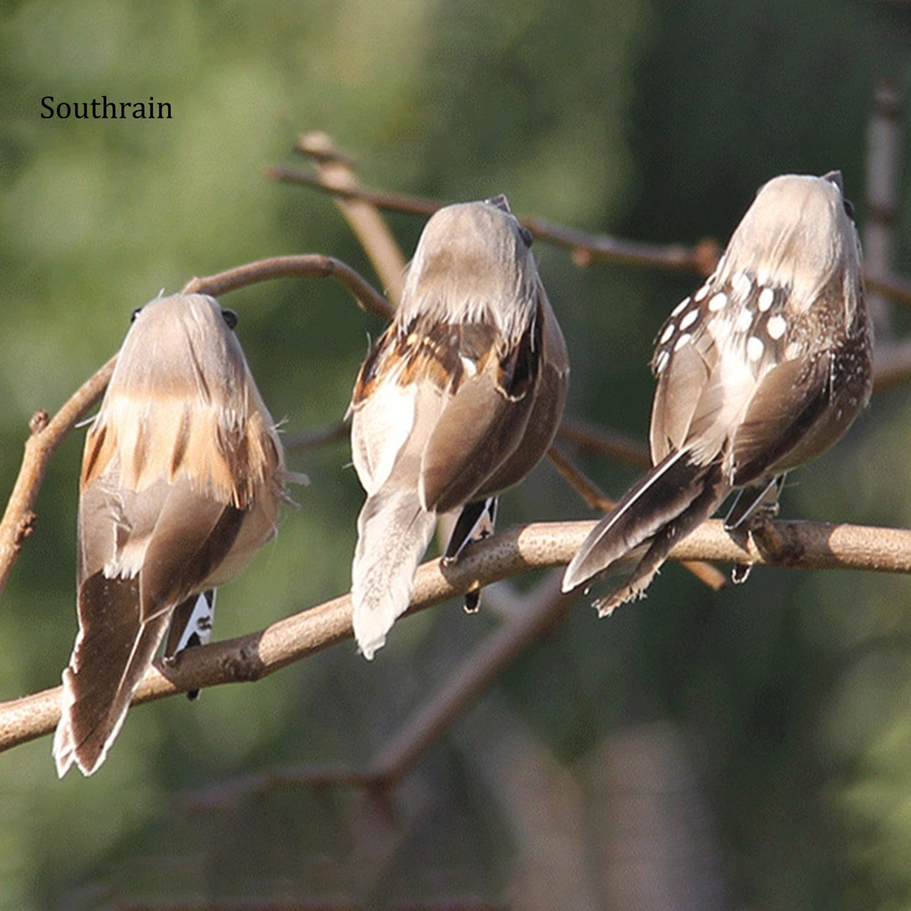 Chú Chim Sẻ Mắt 3D Bằng Kim Loại Gắn Lông Vũ Trang Trí Sân Vườn / Trong Nhà / Ngoài Trời