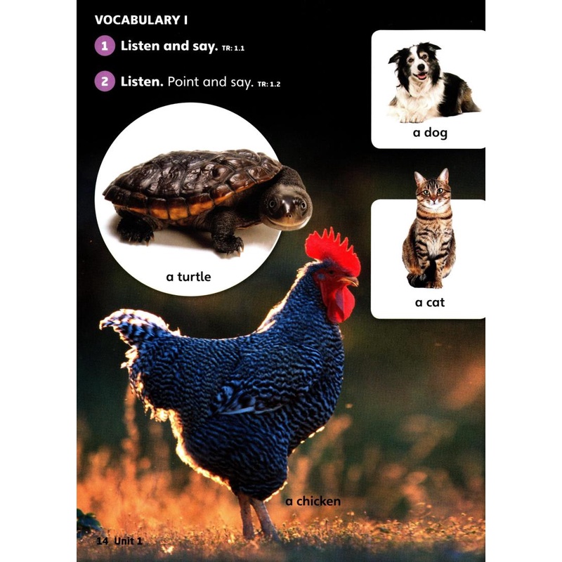 Explore Our World 2: Student's Book 2nd Edition