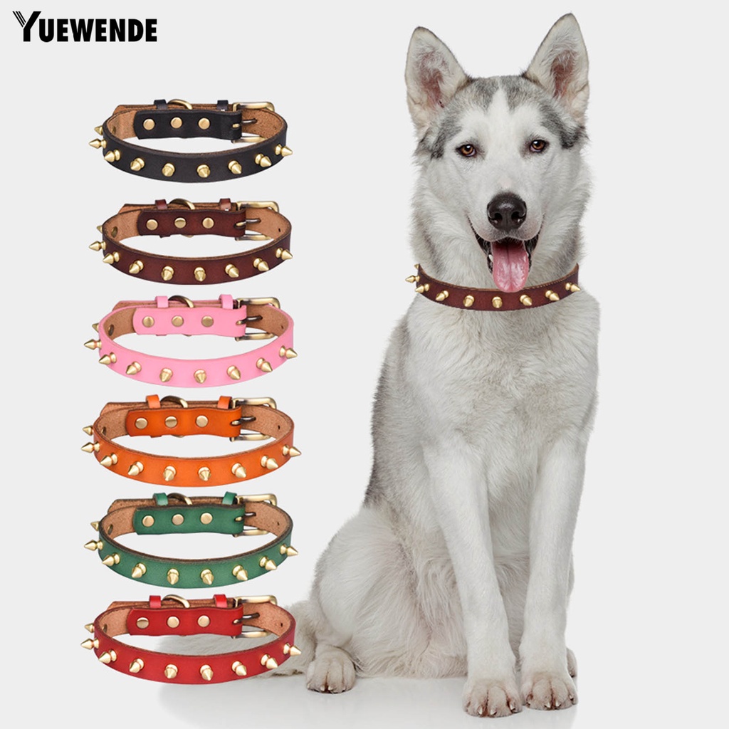 Vòng Cổ Hai Lớp Chống Cắn Dễ Điều Chỉnh Cho Thú Cưng Cỡ Vừa Và Lớn