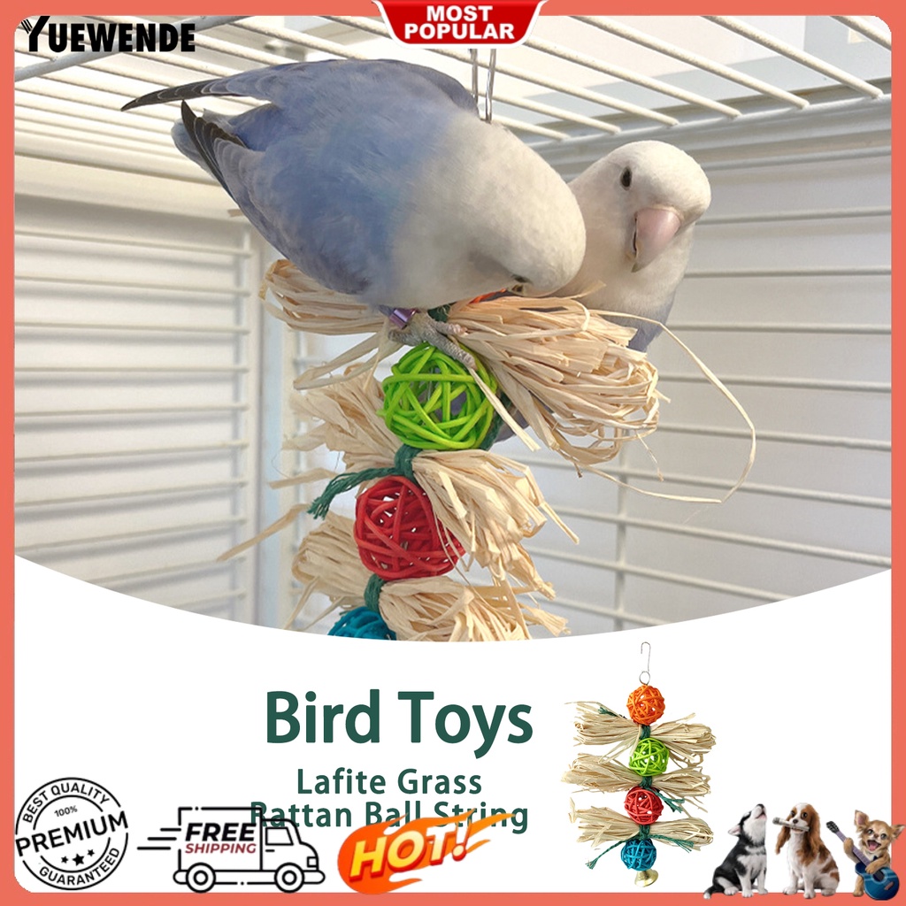 Đồ Chơi Mài Răng An Toàn Cho Chim Cảnh