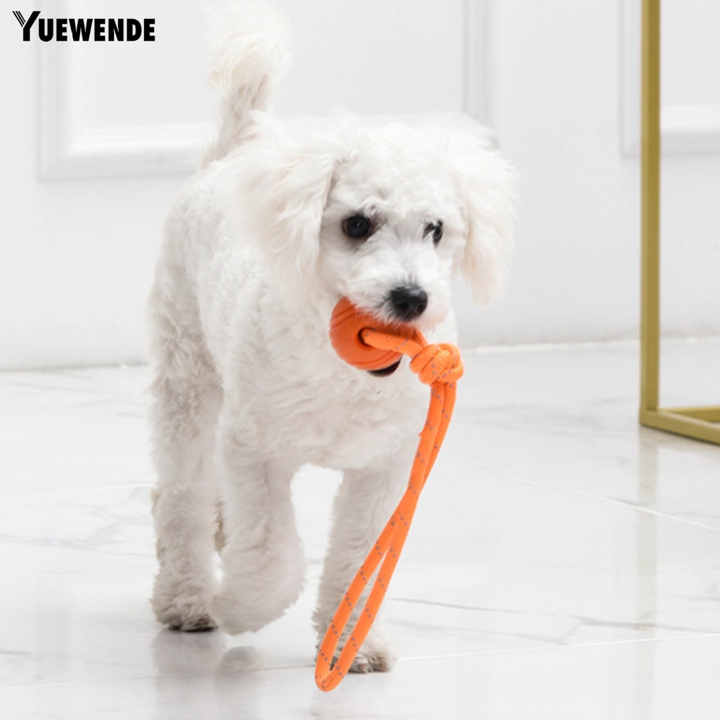 Yq.e Đồ Chơi Bóng Nhai Kết Cấu Mềm Mại An Toàn Cho Sức Khỏe Kèm Dây Đeo Dành Cho Trẻ Em