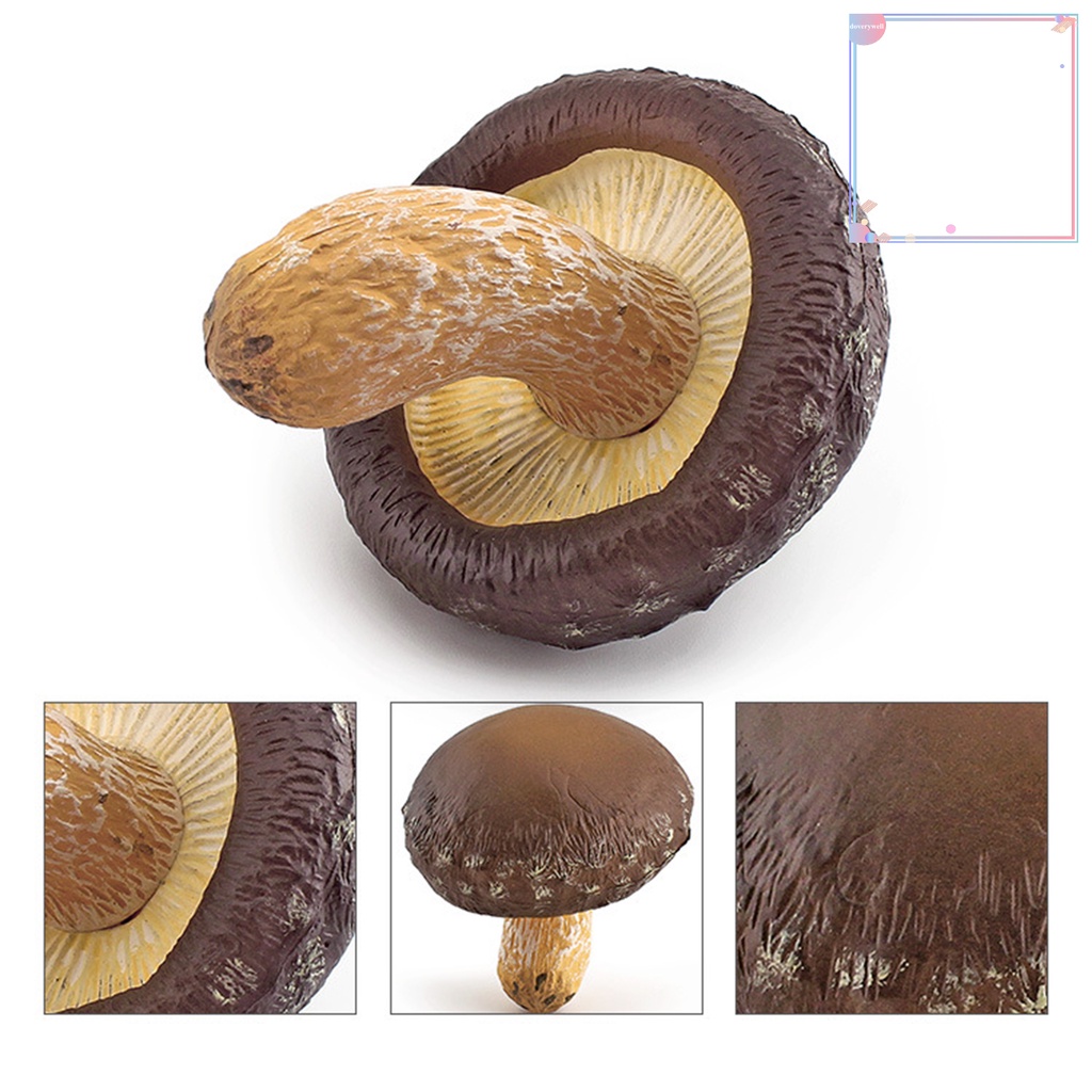 Mô Hình Cây Nấm Mini Không Phai Màu Dùng Trang Trí Tiểu Cảnh Sân Vườn