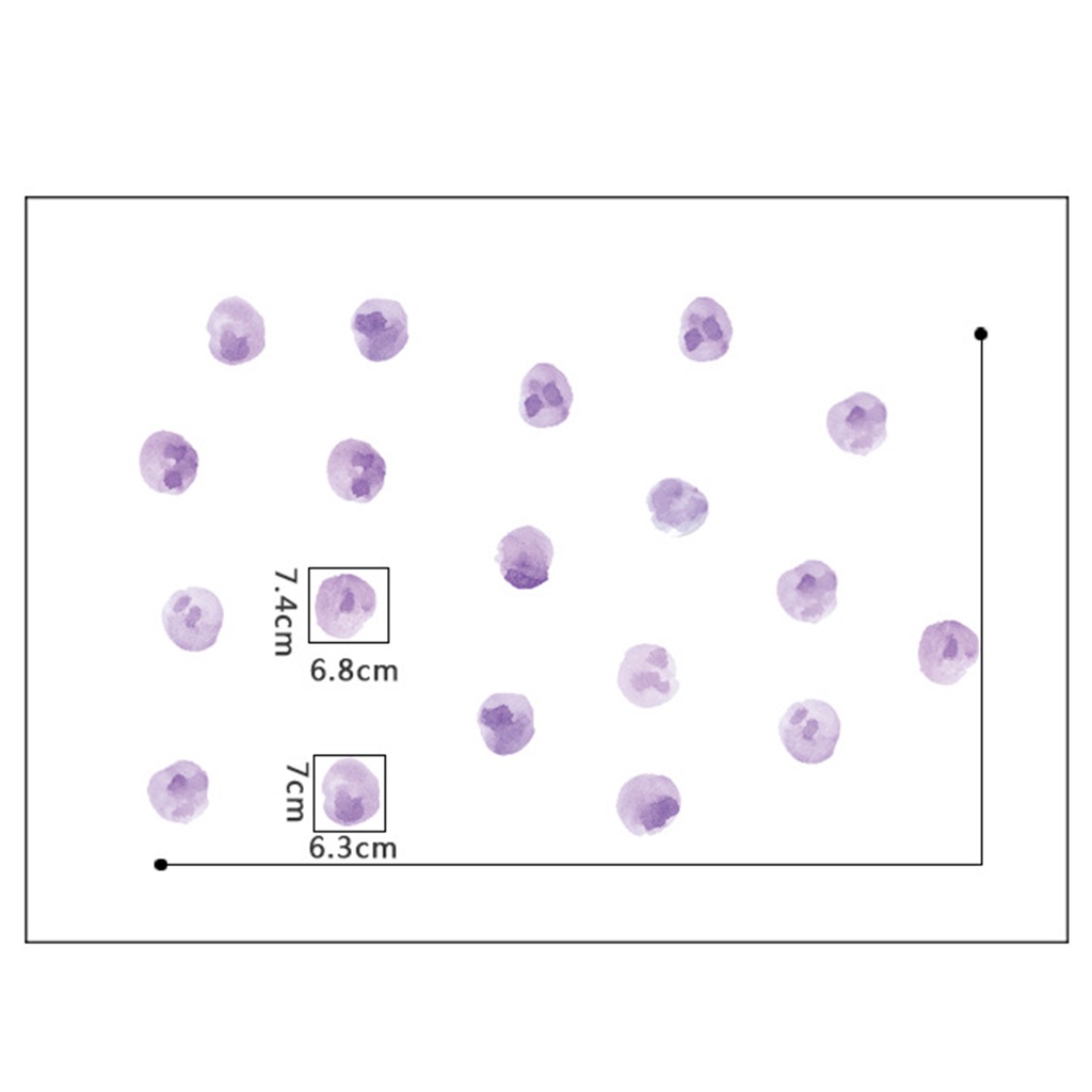 Miếng Dán Tường Chấm Bi Bằng PVC Màu Nước Độc Đáo Trang Trí Nhà Cửa DIY