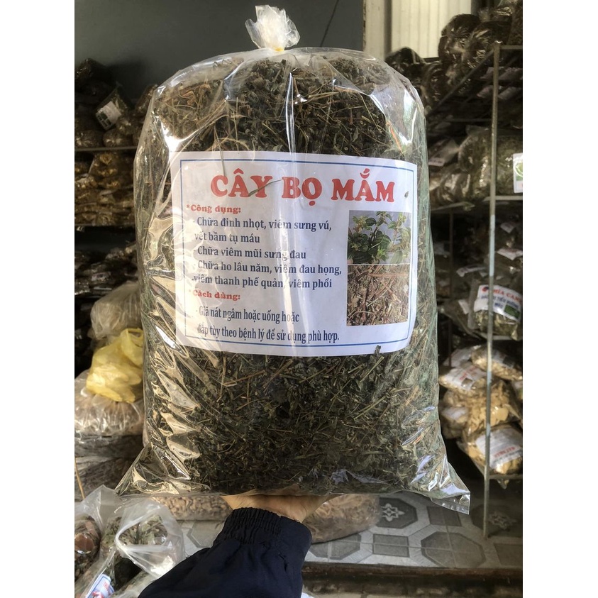 cây thuốc dòi khô 1kg