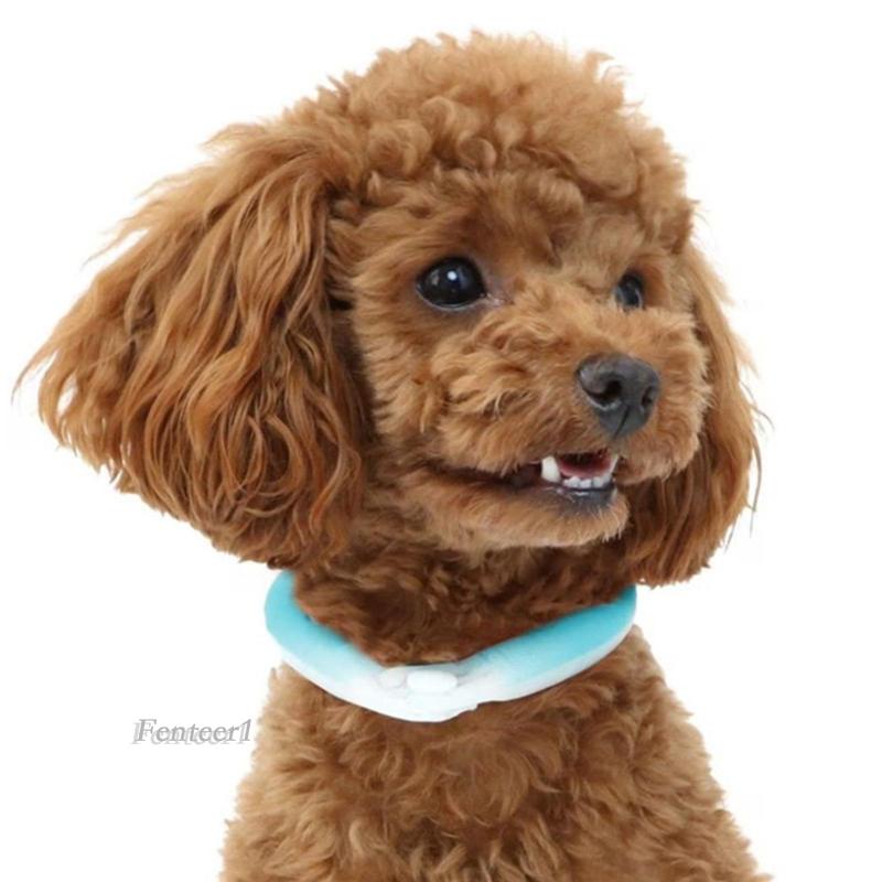 Khăn Quàng Cổ Làm Mát Thời Tiết Dễ Mang Theo Cho Thú Cưng