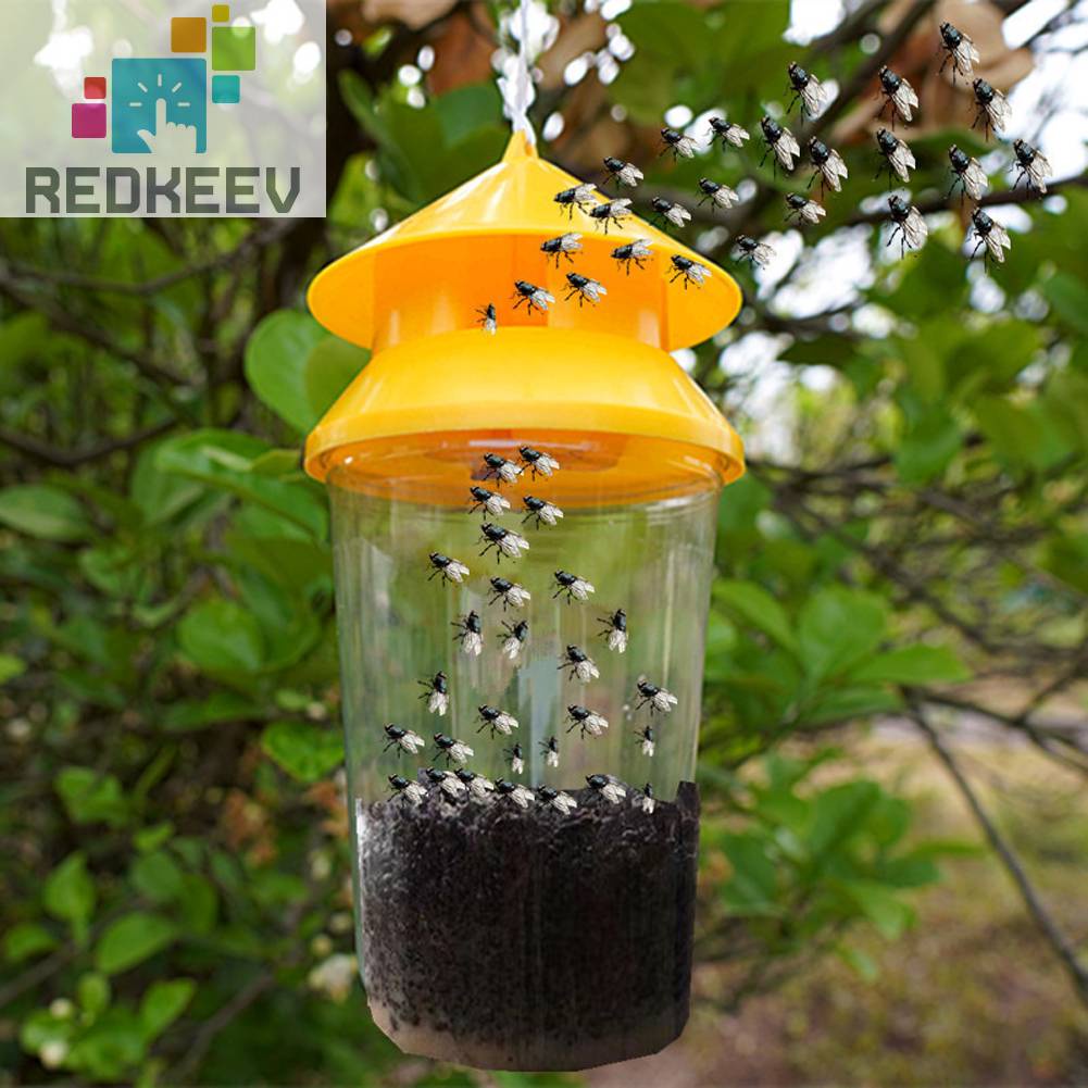 Lồng Bắt Côn Trùng Bằng PP + Dây Xích Treo Cho Parks / Orchards / Rau Củ