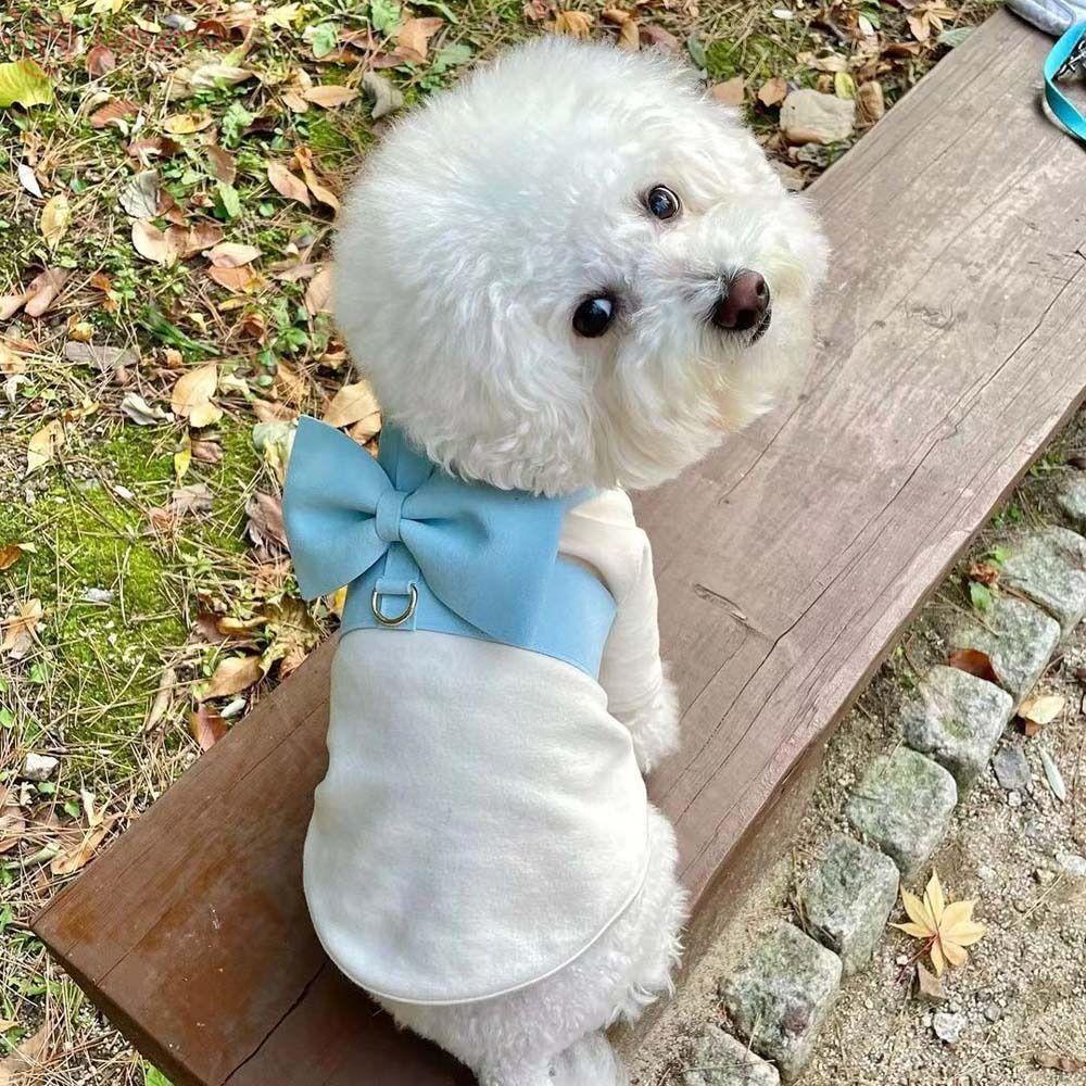 [COD] Dây Dắt Thú Cưng Đi Dạo Thiết Kế Thoáng Khí Cỡ Nhỏ / Vừa / Lớn Thời Trang Tiện Dụng