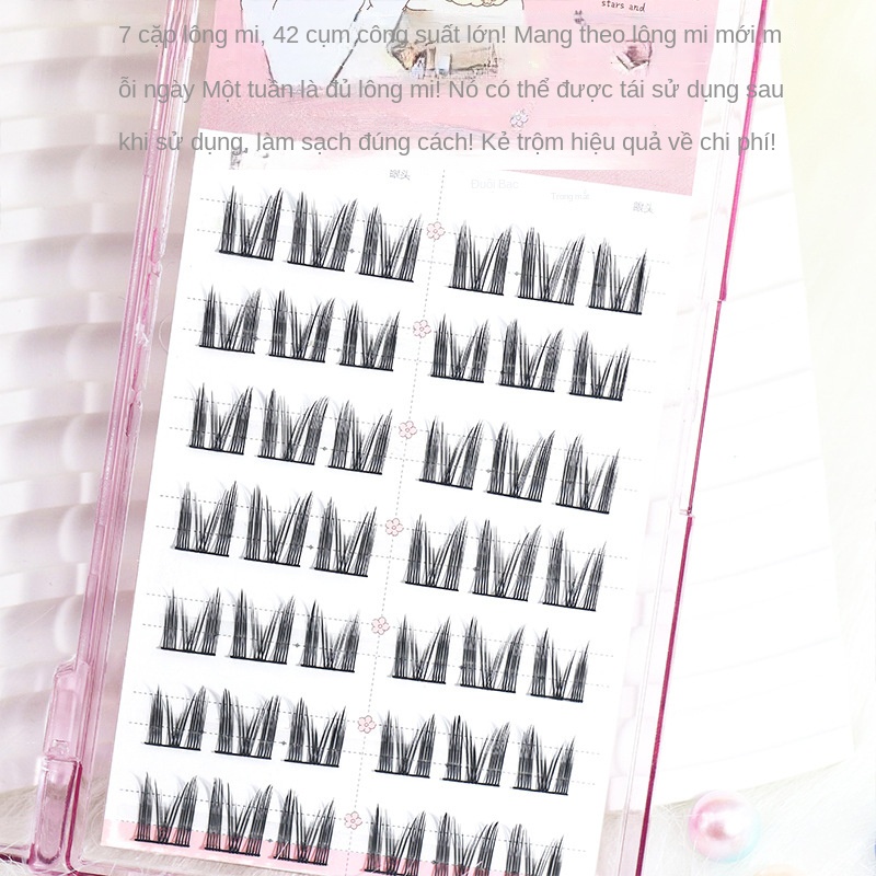 Lông Mi Giả Tai Mèo Siêu Mịn Tự Nhiên Ngọt Ngào