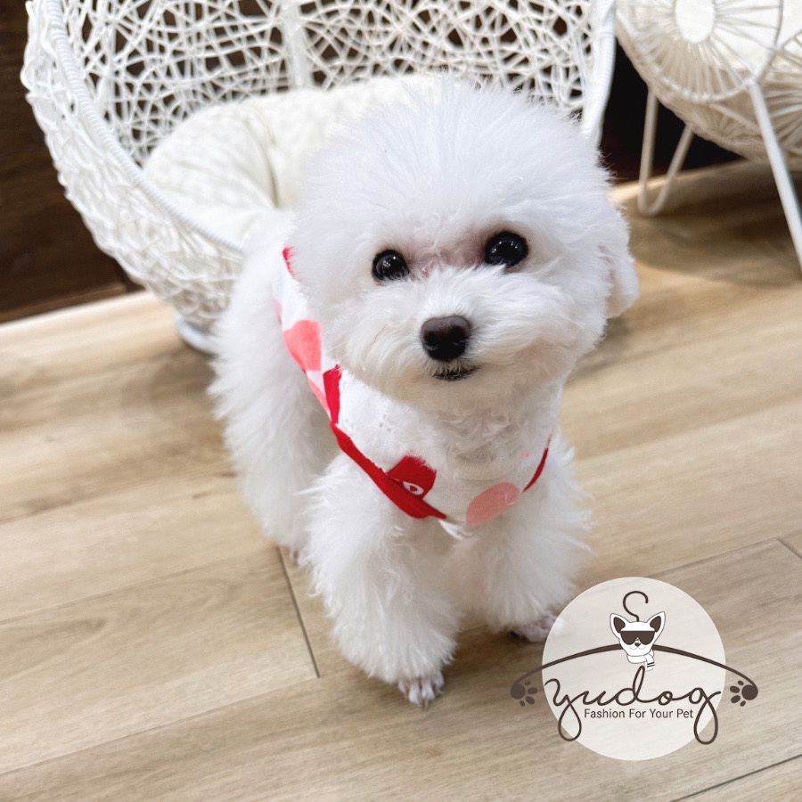 Áo dễ thương cho chó mèo thú cưng yudog