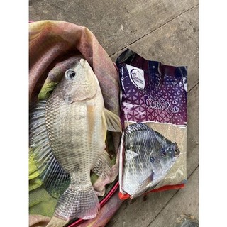 Cám Tanh Câu Cá, Cám Thơm EWF Dành Cho Câu Cá Phi, Chép