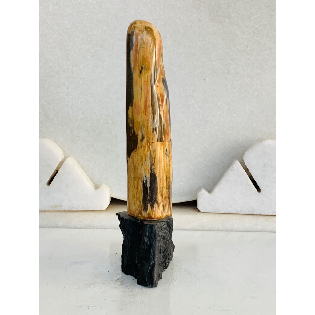 Gỗ Hoá Thạch tự nhiên,, ...