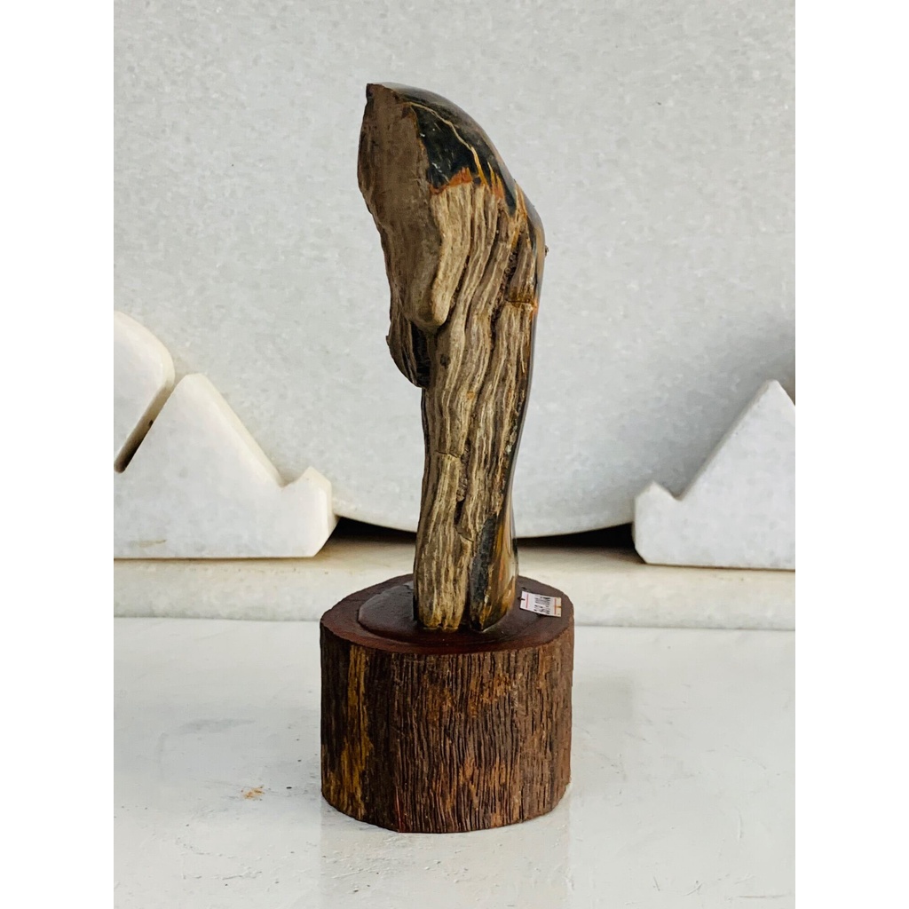 Gỗ Hoá Thạch tự nhiên .,......