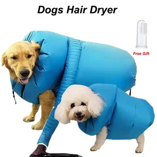 Oyes gấp chó máy sấy tóc di động thú cưng sấy túi hiệu quả chó máy sấy tóc túi thổi mèo máy sấy mùa đông thú cưng phụ kiện vệ sinh