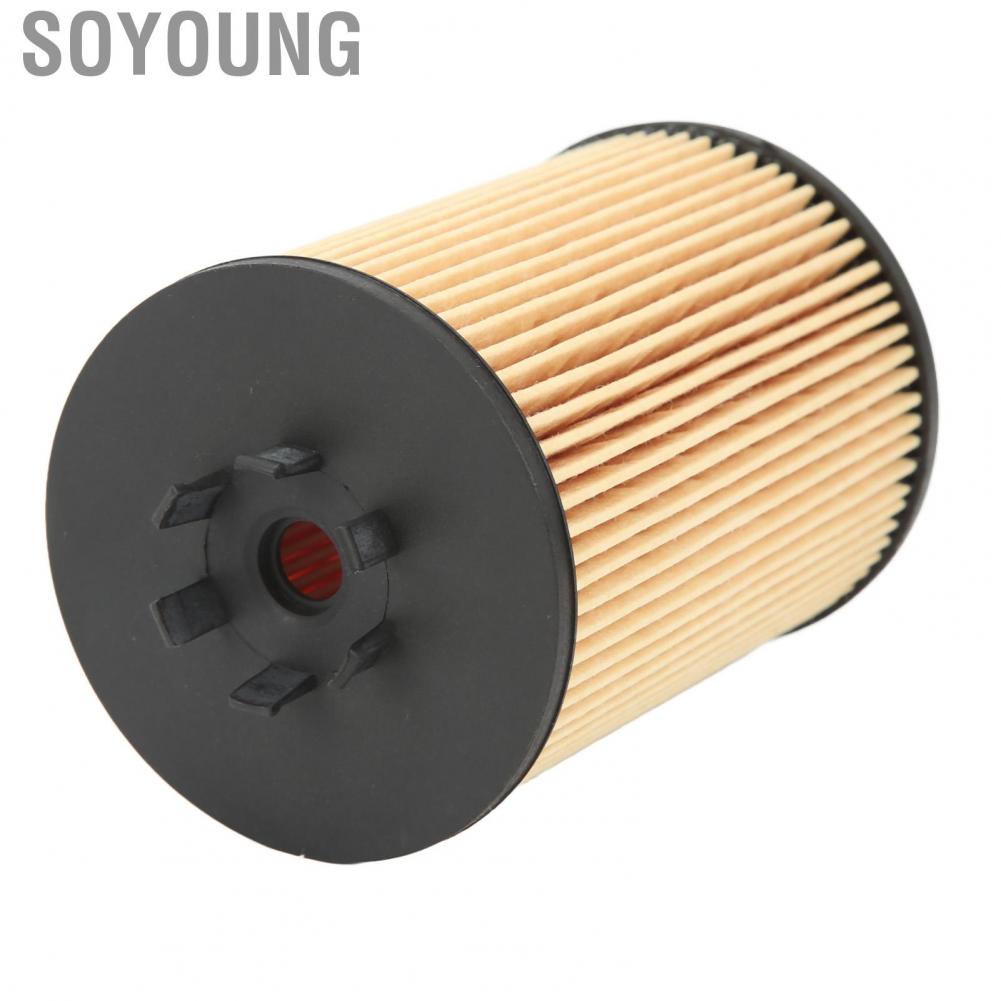 Soyoung 11427511161  Stable Performance Clean Impurities Engine Oil Filter Easy To Install for E53 E60 E63 E65 E66