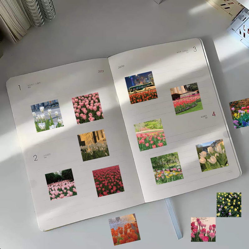 Bộ 63 Miếng Dán Trang Trí Điện Thoại Hình Hoa Tulip Xinh Xắn