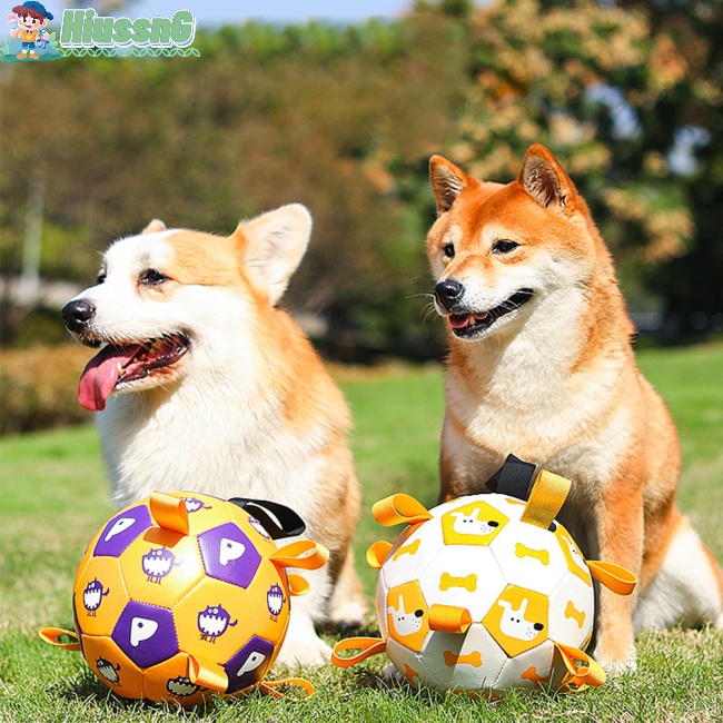 Quả Bóng Đồ Chơi Chống Cắn Phát Ra Âm Thanh Vui Nhộn Dành Cho Thú Cưng
