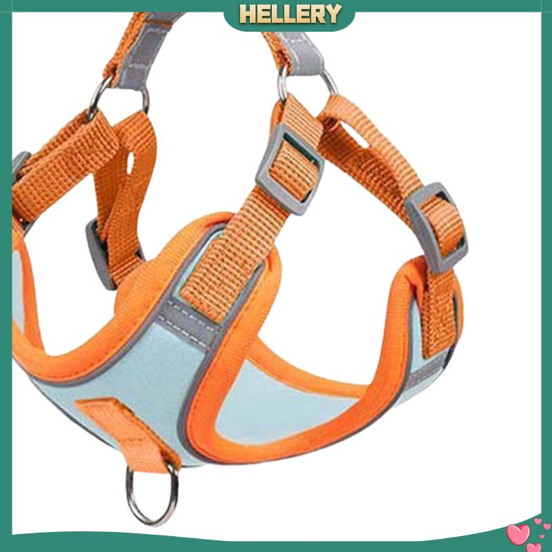 Đai Dắt Thú Cưng Đi Dạo Mềm Mại Trọng Lượng Nhẹ