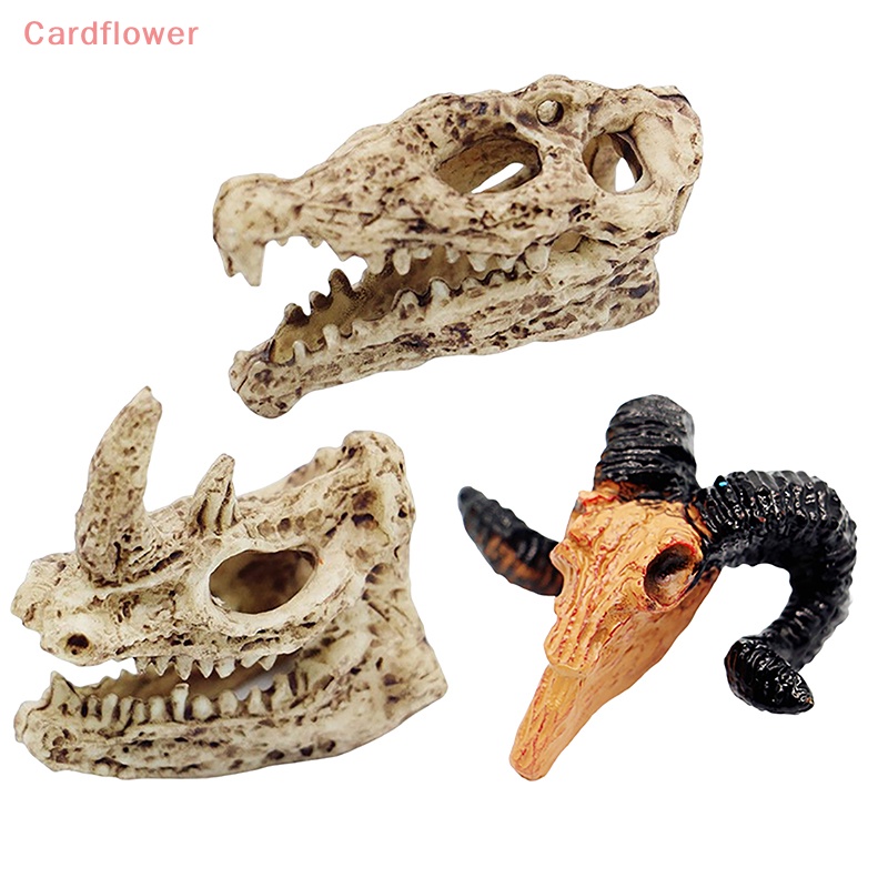 Mô Hình Sọ Cá Sấu Trang Trí Halloween 1: 12 Mới