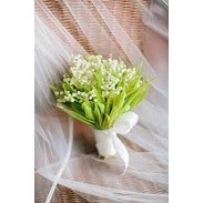 Củ hoa linh lan (có rễ + mầm lá sẵn,bao sống 100%)