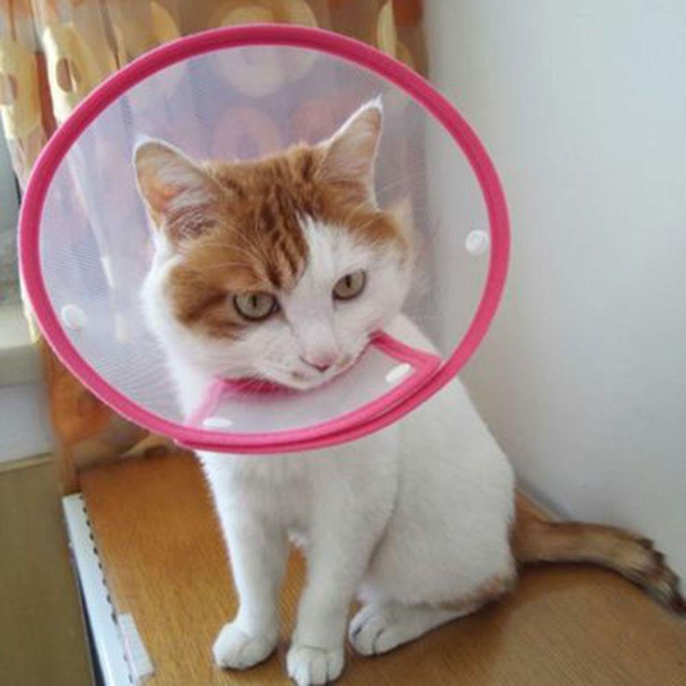 Vòng Cổ Bằng Nhựa Trong Suốt Chống Cắn Đa Năng Dành Cho Mèo Cưng