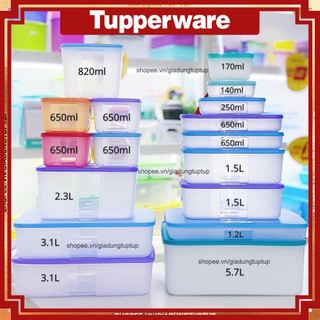 Hộp lẻ trữ đông Freezermate các loại dung tích Tupperware