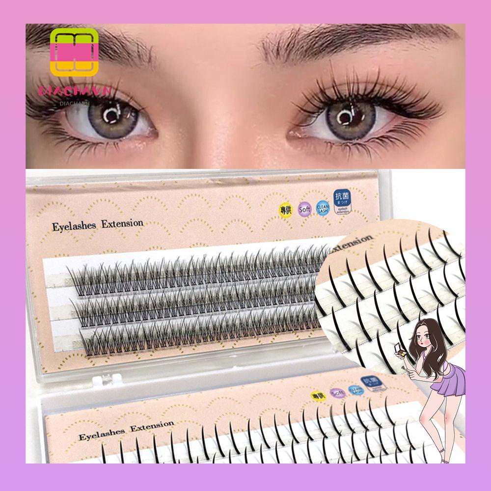 Hộp 180 Cụm Lông Mi Giả 2 Kiểu Tùy Chọn DIY