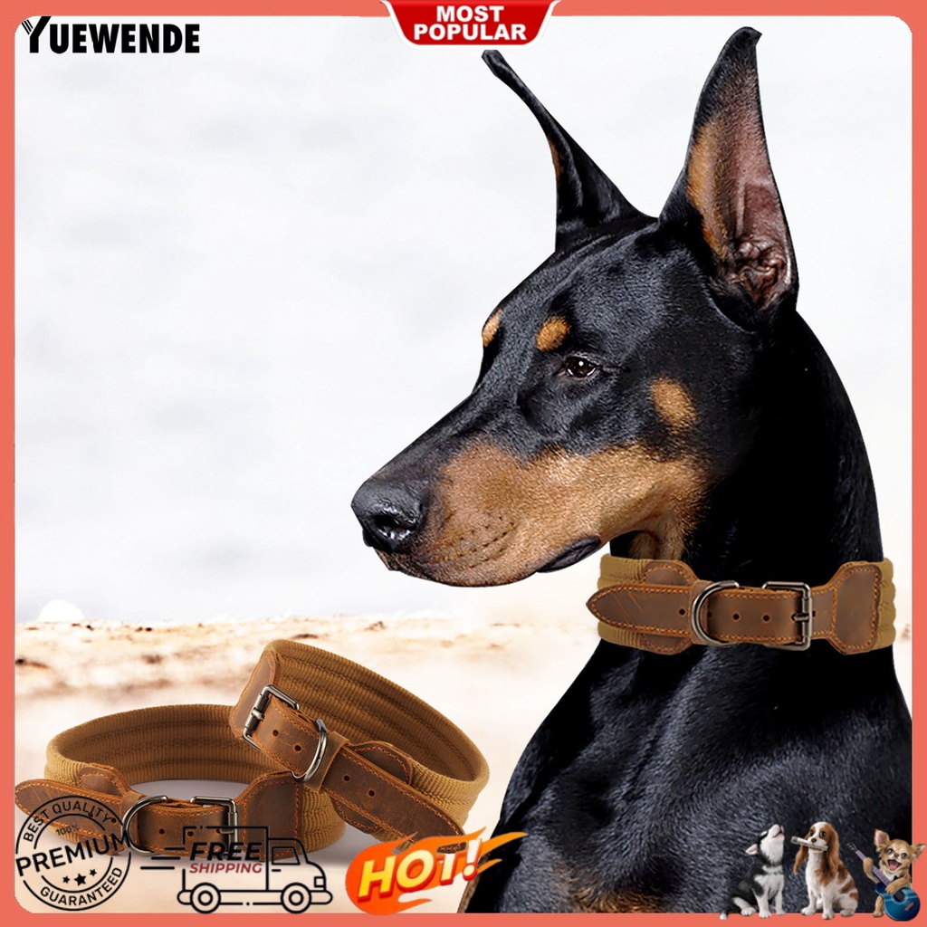 Vòng Cổ Giả Da Thoáng Khí Cho Thú Cưng