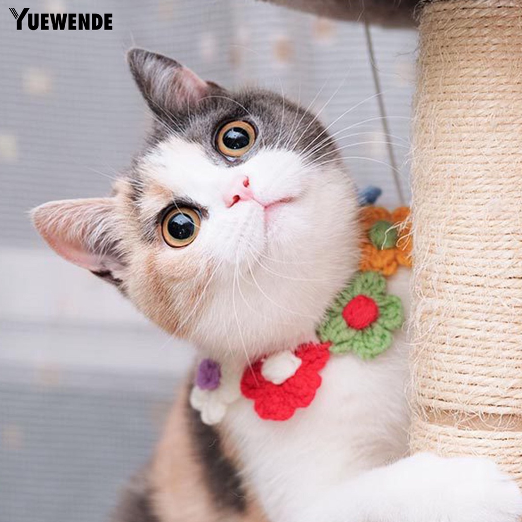 Yq.e Vòng Cổ Đan Len Hình Bông Hoa Tinh Tế Dành Cho Thú Cưng Tại Nhà