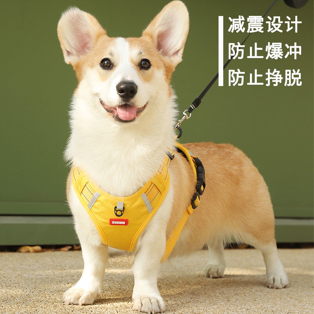 Dây Đeo Ngực Thoáng Khí Phù Hợp Với Mọi Loại Cơ Thể Chó Shiba Inu Corgi Chống Gãy Thoáng Khí Mùa Hè Hình Chữ I